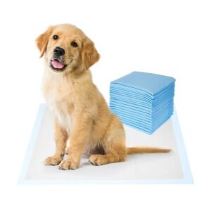 Amazon Basics Dog And Puppy Pee Pads | Pack Of 20 | 24 X 23 Inches | Leak-Proof, Quick-Dry Design For Potty Or Indoor Training | Heavy Duty Absorbency