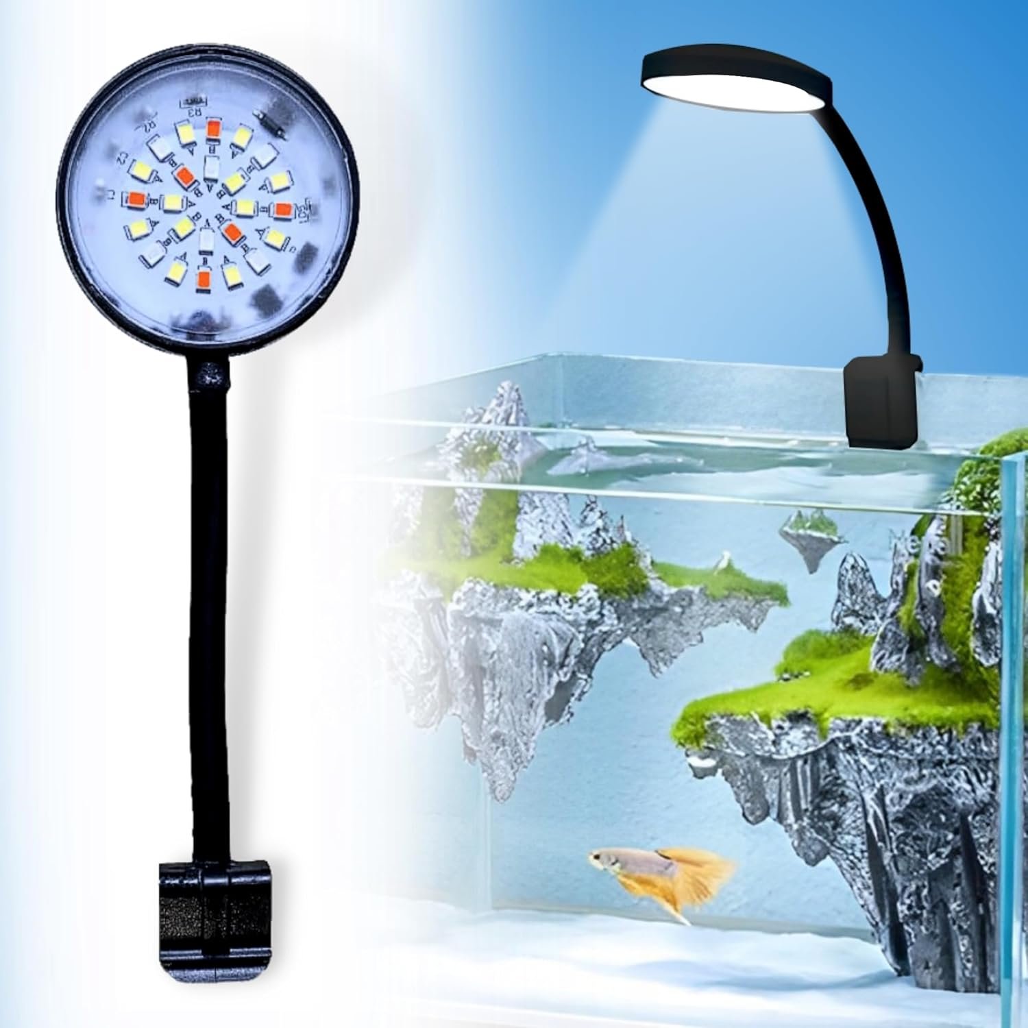 BURAQ Plastic N6 Multicolor Aquarium LED Light, 2.5 W High-Brightness Clip-On, WRGB Multicolor Modes, 360° Flexible Arm, Fit for Small & Tank & Fish Bowls (Black), Corded Electric, ?5 volts