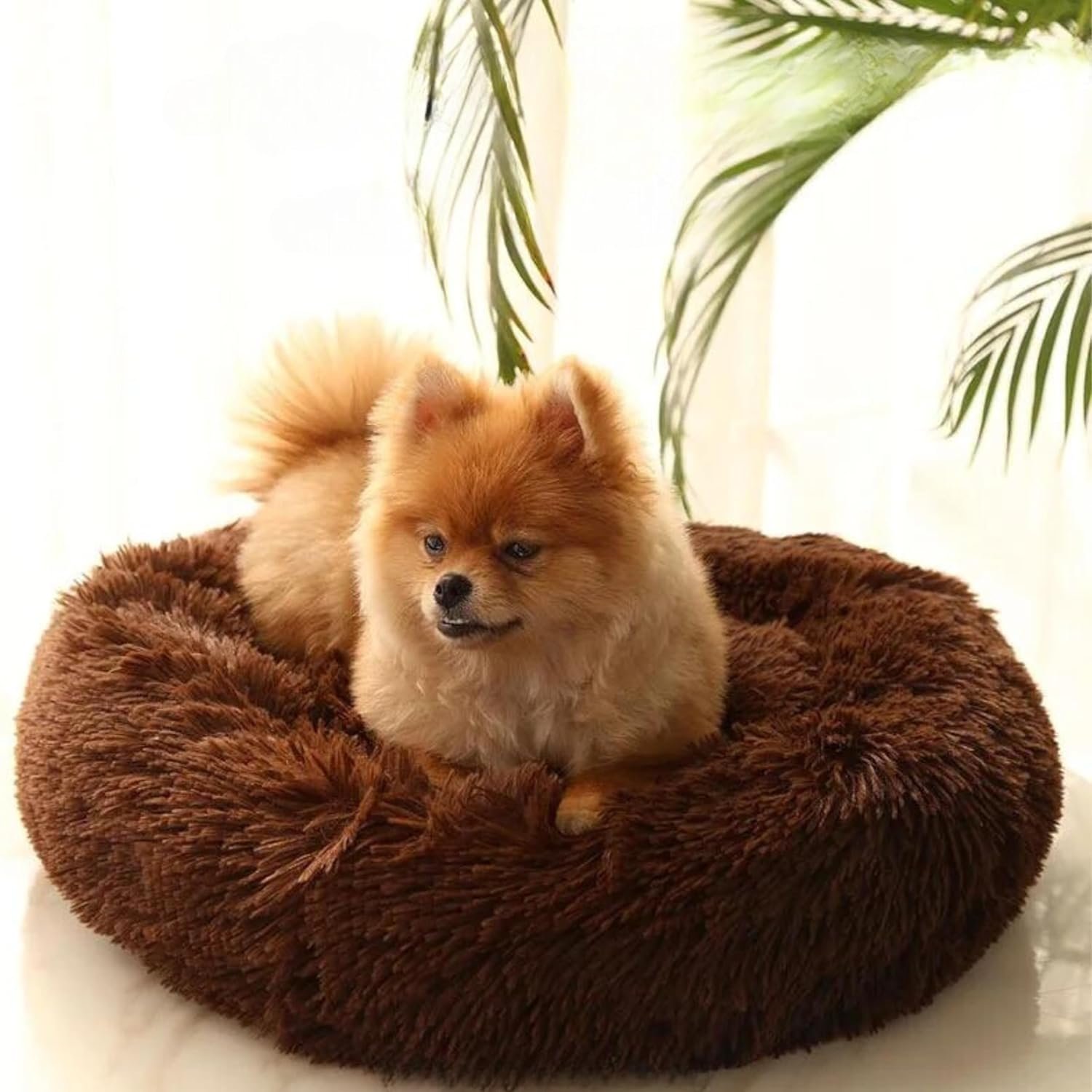 ZEXSAZONE Round Donut Pet Bed for Cats and Puppies Dogs, Cozy and Plush, Raised Bedside Support, Both Sides Use Like 2 in One, Washable, Sizes for Small, Medium, and Large Pets. (Coffee, Small)