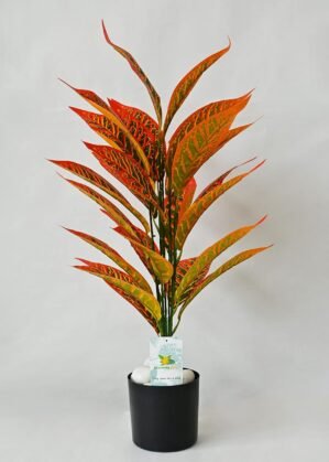 Blooming Floret Artificial Red Iceton Croton Plant | Big Ornamental Plant for Interior Decor/Home Decor/Office Decor | 26 Leaves with Basic Black Pot | 71.1 cm Tall Indoor Plant
