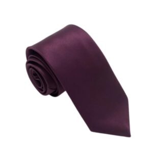 Bureaucrat Mens Tie Necktie (free size) Black Formal Gift Silk Satin Men Thin Neck tie Solid Plain (Burgandy)