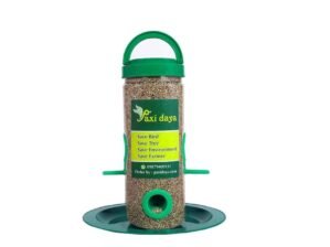 PAXI DAYA Window Bird Feeder Plastic Material Green Color Food Small and Medium Birds (Pack of 1)