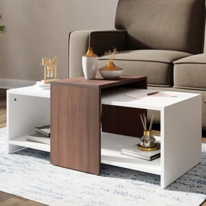 Royaloak Ivan Coffee Table | Engineered Wood | Melamine Finish | Bottom Shelf | Dual Color | Modern Design | Wooden Coffee Table
