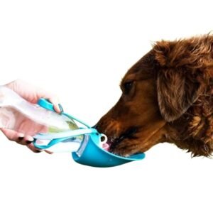 Pet Supplies, Dogs, Feeding & Watering Supplies, Basic Bowls