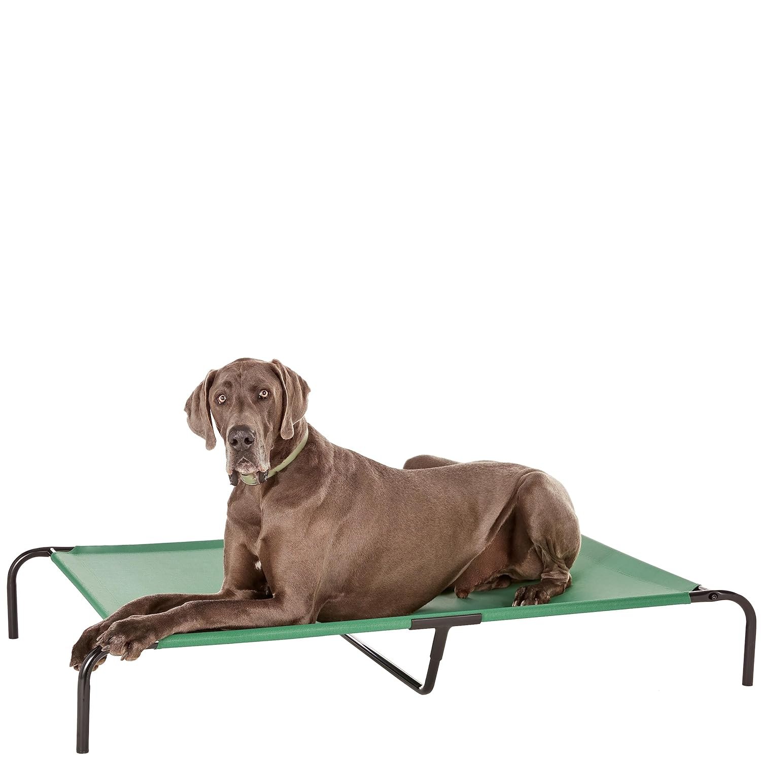 amazon basics Extra Large Elevated Mesh Fabric Cooling Pet Dog Cot Bed - 60 x 37 x 9 Inches, Green