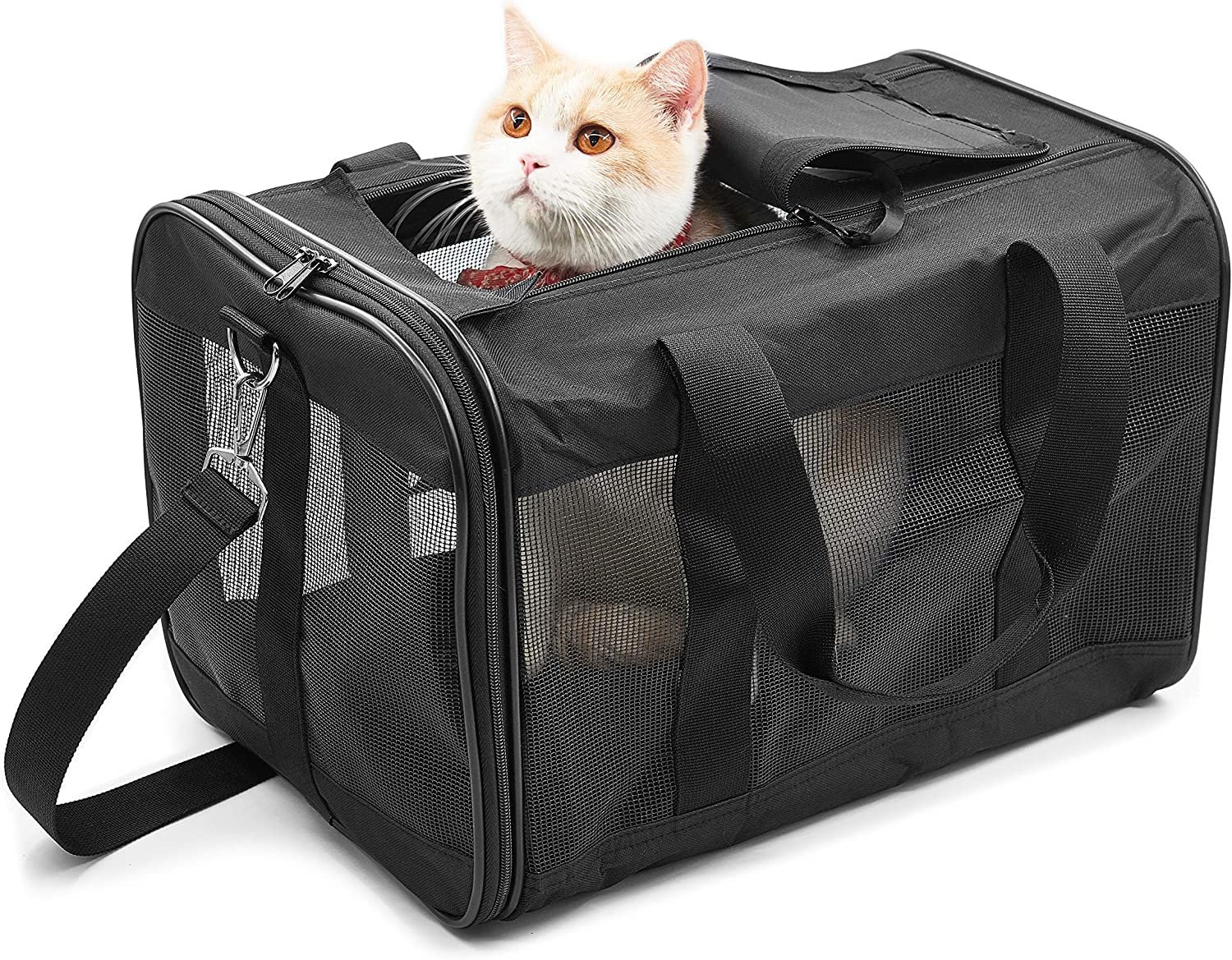 KIKA Pets SPRINGFRAME Carrier Dog Carrier Soft Sided Pet Travel Carrier for Cats, Small Dogs, Kittens or Puppies, Collapsible, Durable, Airline Approved, Travel Friendly Black (M)