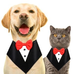 BURAQ Dog Tuxedo Bandana, Ideal for Dog Birthday Decorations, Adorable and Comfortable Pet Apparel (XL – Black)