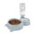 amazon basics 2 In1 Pet Feeder Food and Water Dispenser|Stainless Steel Bowl|Automatic Water Dispensing Mechanism|Suitable for Cats and Dogs,?32 cm,H_22 cm,W_16.5 cm