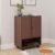 Royaloak Cosmos Shoe Rack with 2 Door Storage, Engineered Wood Shoe Rack with Door, Melamine Finish, Shoe Rack Wooden with Sturdy Construction, Shoerack with Back Sheet for Support & Optimized Depth