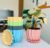 Eightiz Crystal Look Plastic Flower Pots with Tray for Home & Decoration Planters, Terrace, Garden Plant Container Set (Pack of 5, Plastic)