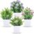 Dekorly 4 Pack Small Fake Plants Mini Artificial Faux Plants with Flowers for Home Room Farmhouse Bathroom Decor Indoor (Set of 4, Small)