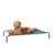 amazon basics Large Elevated Cooling Mesh Fabric Pet Dog Cot Bed – 51 X 31 X 8 Inches, Green