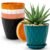 Eightiz Pack of 5 Round Flower Pots for Home Planters, Terrace, Garden Etc | Multicolor | Suitable for Home Indoor & Outdoor Gardening Plants(Mix Colour)