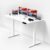 Intellidesk® Eco – Electronic Height Adjustable Desk | 80Kg Weight Capacity | New Touch Controller with 3 Presets | 5-Year Warranty| E1 Grade Low VOC 25mm Table Top (White+White, 60 * 24 inches)