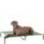 amazon basics Extra Large Elevated Mesh Fabric Cooling Pet Dog Cot Bed – 60 x 37 x 9 Inches, Green