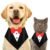 BURAQ Dog Tuxedo Bandana, Ideal for Dog Birthday Decorations, Adorable and Comfortable Pet Apparel (XL – Black)